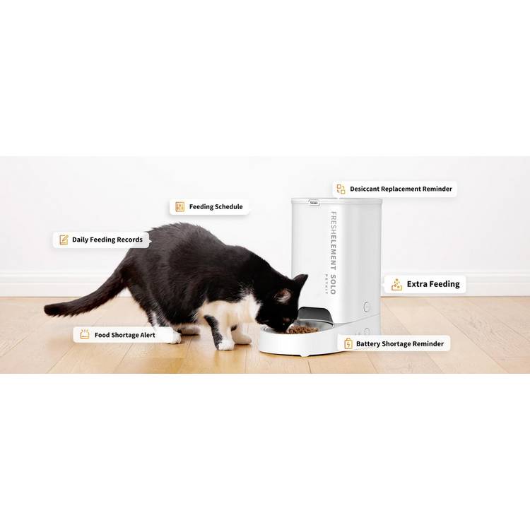 PETKIT smart pet feeder 3L white (British brand)