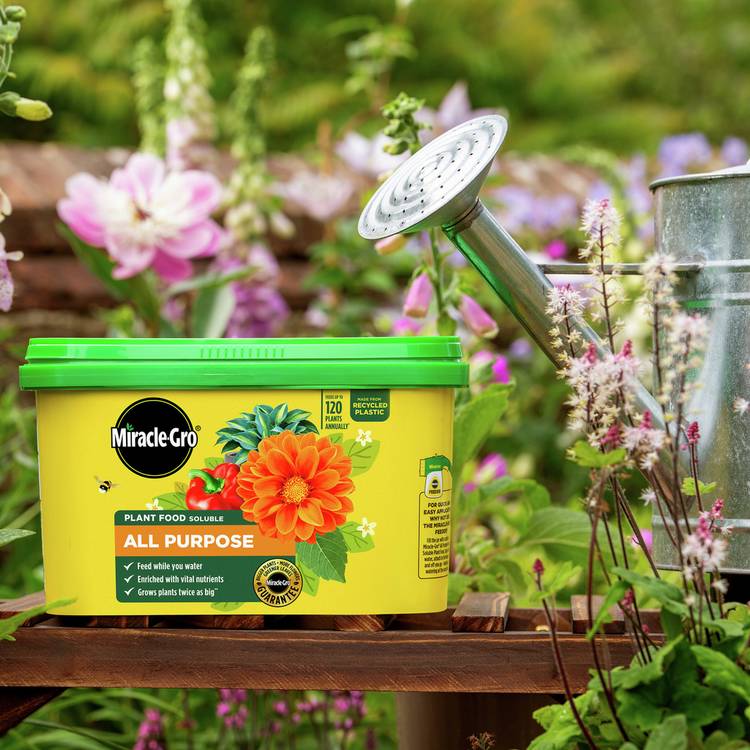 Miracle-Gro All Purpose Plant Food 2kg - British product