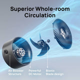 Dreo TurboPoly CF419 Black air circulator desk fan (British brand)