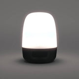 Decathlon LED camping lantern with rechargeable battery, imported from the UK