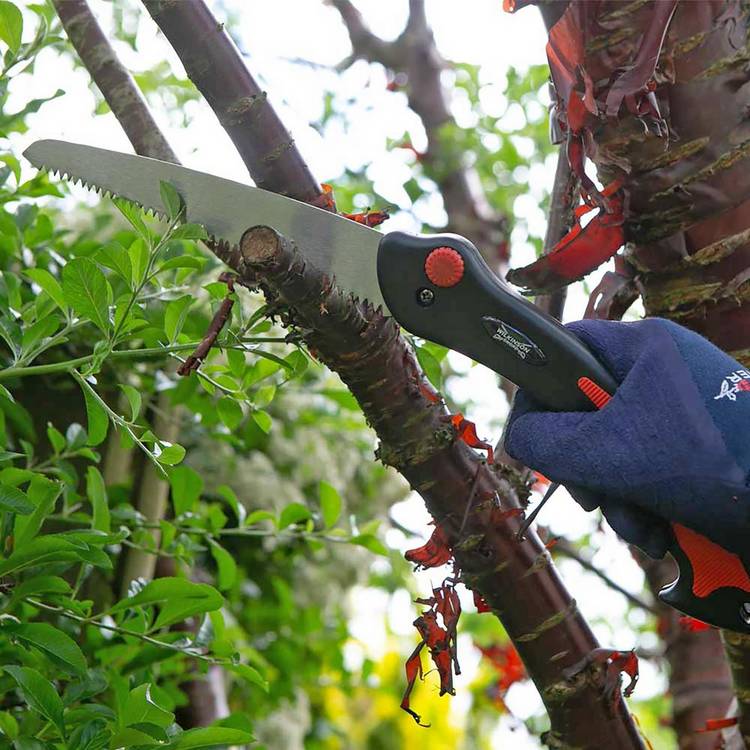 Wilkinson Sword folding pruner and bypass pruner set, UK version