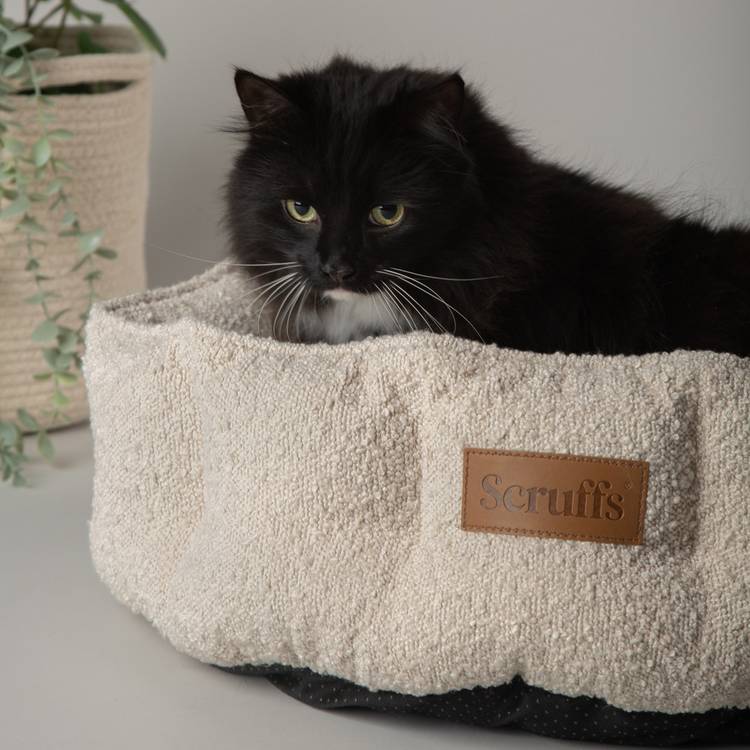 Scruffs Boucle Cat Bed Small, imported from the UK