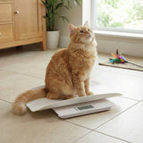 Salter 2-in-1 digital baby scale - British product
