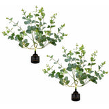 Argos Streetwize Garden Eucalyptus Tree Solar Lights Warm White - Pack of 2- Buy online at McGrocer