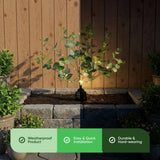 Streetwize eucalyptus tree solar lights pack of 2, UK version