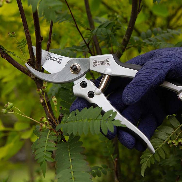 Wilkinson Sword Deluxe Bypass Pruner, imported from the UK