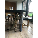 Rosewood adjustable pole cat scratcher H42cm, imported from the UK