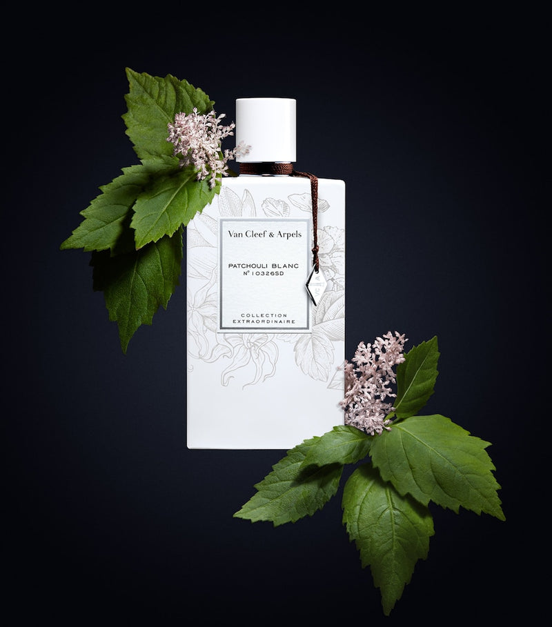 Van Cleef & Arpels Patchouli Blanc eau de parfum 75ml, UK version