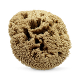 Holland & Barrett SpongeBox Deep Sea Pure Luxury Body & Bath Natural Sea Sponge 6-6.5 Inches- Buy online at McGrocer