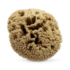SpongeBox natural sea sponge 6-6.5 inches (British brand)