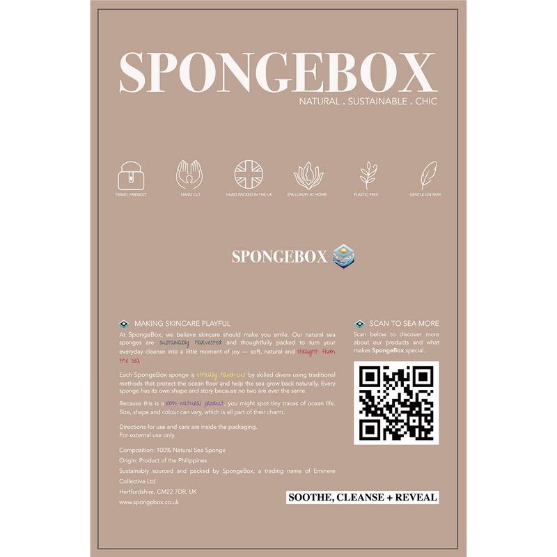 SpongeBox natural sea sponge 6-6.5 inches (British brand)