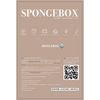 SpongeBox natural sea sponge 6-6.5 inches (British brand)
