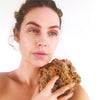 SpongeBox natural sea sponge 6-6.5 inches (British brand)