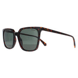 Polaroid PLD 4163/S brown polarized women sunglasses (British brand)