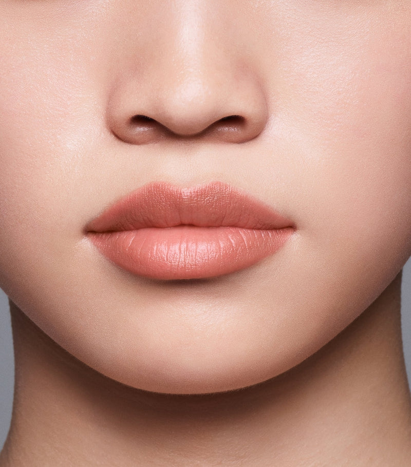 Shiseido LipLiner InkDuo lip liner and primer (British brand)