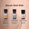 Tisserand Vetiver Essential Oil Pure 9ml, imported from the UK