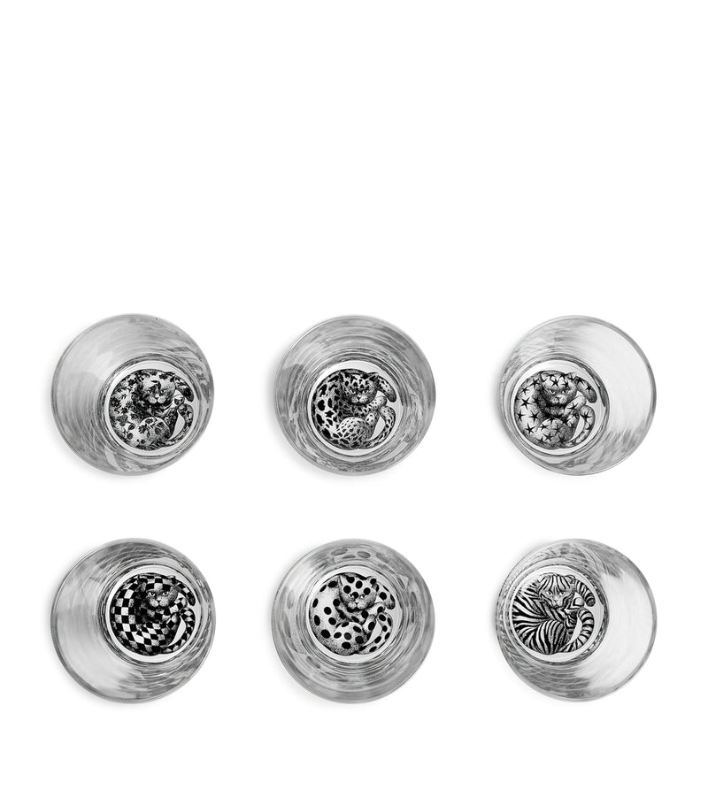 Fornasetti High Fidelity Tumblers set of 6 - British product