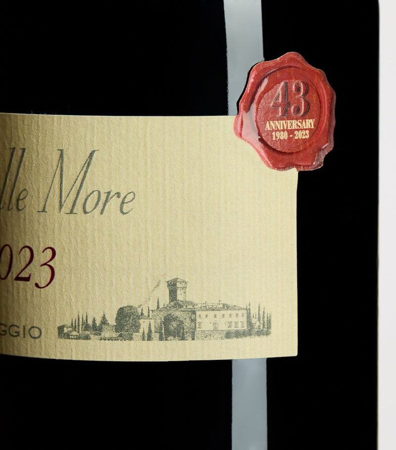 Castello Vicchiomaggio Ripa delle More red wine 75cl (British brand)