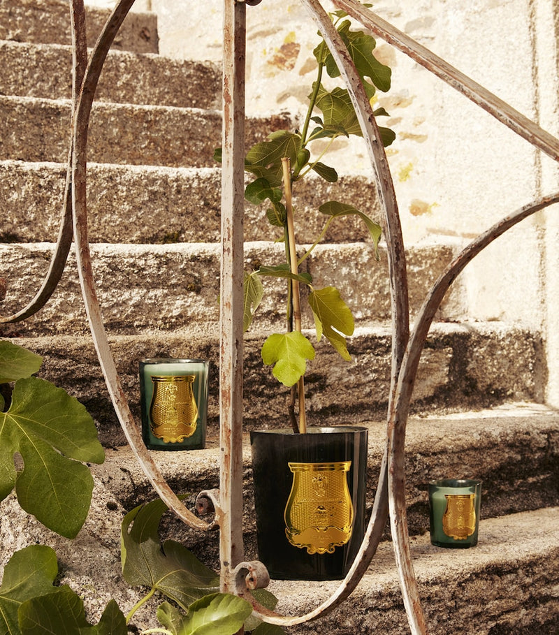 Trudon Figuerie scented candle 800g (British brand)
