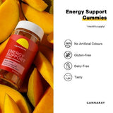 Cannaray energy support gummies mango 30 count (British brand)