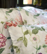 Harrods Floral Print Oxford Pillowcase 50cm x 75cm- Buy online at McGrocer