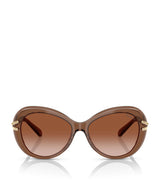 Harrods Swarovski Acetate SK6026 Sunglasses Eyewear- Buy online at McGrocer