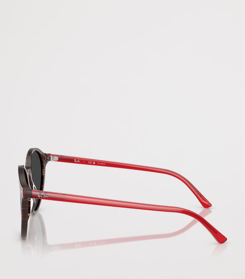 Ray-Ban RB2230 circular acetate sunglasses (British brand)