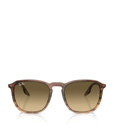 Harrods Ray-Ban Acetate Square Sunglasses- Buy online at McGrocer