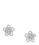 Harrods Graff White Gold and Diamond Wild Flower Stud Earrings- Buy online at McGrocer