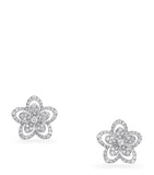 Graff Wild Flower diamond stud earrings - British product