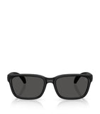Moncler sunglasses Injected Slicka ME8002 - British product