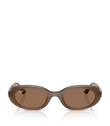 Harrods Ray-Ban Injected Oval Sunglasses- Buy online at McGrocer