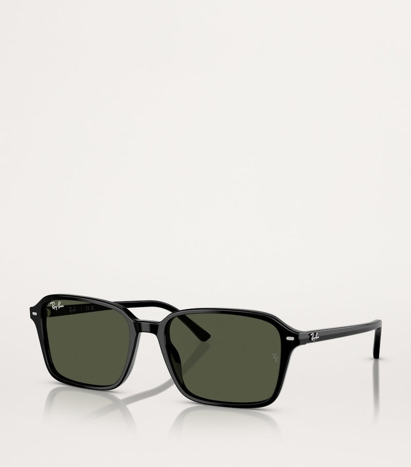 Ray-Ban RB2231 Raimond sunglasses acetate frame (British brand)