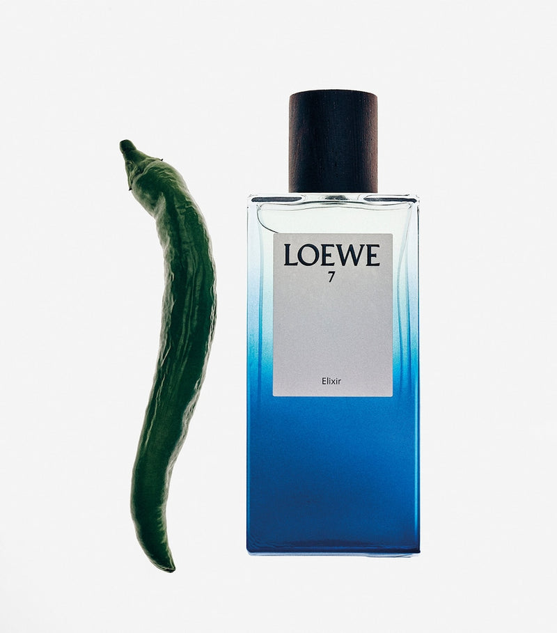 LOEWE 7 Elixir Eau de Parfum 100ml, UK version