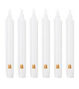 Harrods Trudon Madeleine Tapered Candles Set of 6- Buy online at McGrocer