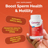 Conceive Plus motility support 60 capsules - British product