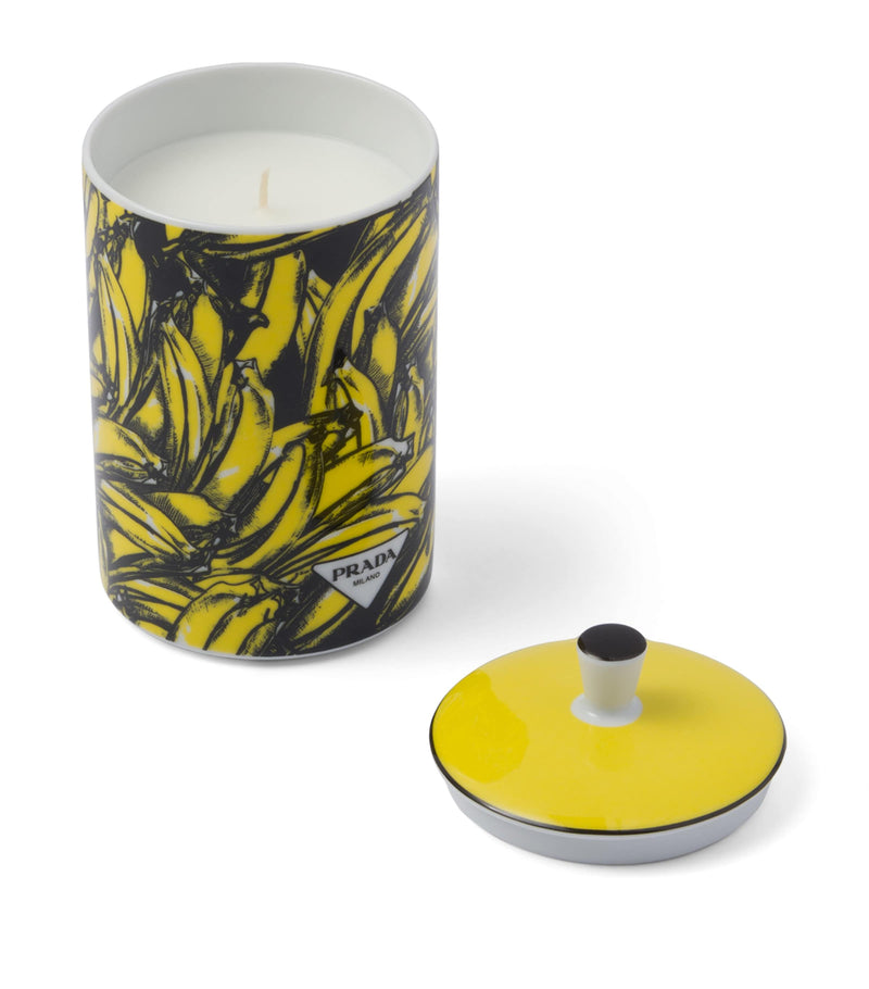 Prada Porcelain Seringàt Candle Jasmine Magnolia 250g, imported from the UK