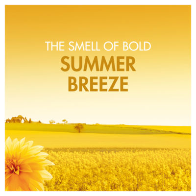 Bold washing liquid gel Summer Breeze 24 washes, UK version