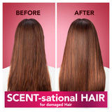 Herbal Essences Love Me Longer Shampoo | Pomegranate Essence | Damaged Hair | Red Berry Scent