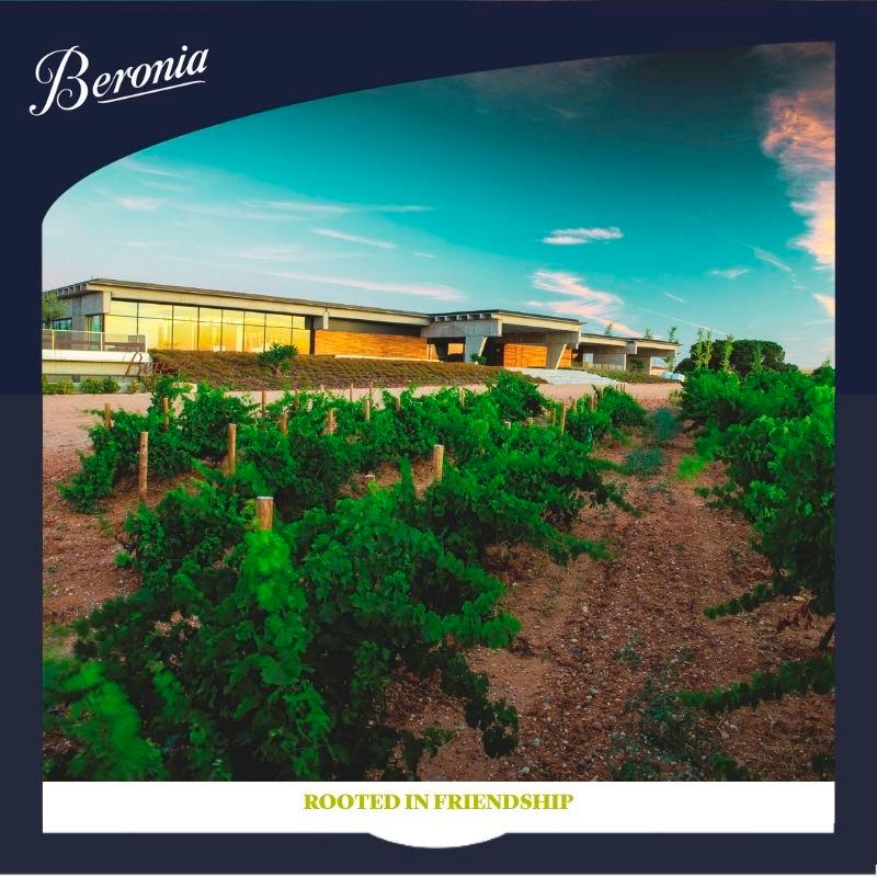 Beronia Rueda Verdejo white wine 75cl - British product
