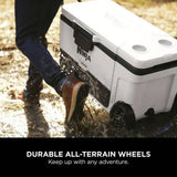 Ninja FrostVault Wheeled Cooler 65QT, imported from the UK