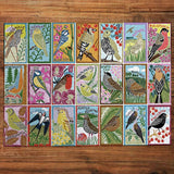 RSPB British Songbirds 1000 piece jigsaw puzzle (British brand)
