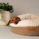 Argos Scruffs Ellen Donut Dog Bed Extra Large- Buy online at McGrocer