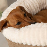 Scruffs Ellen donut dog bed extra large, UK version