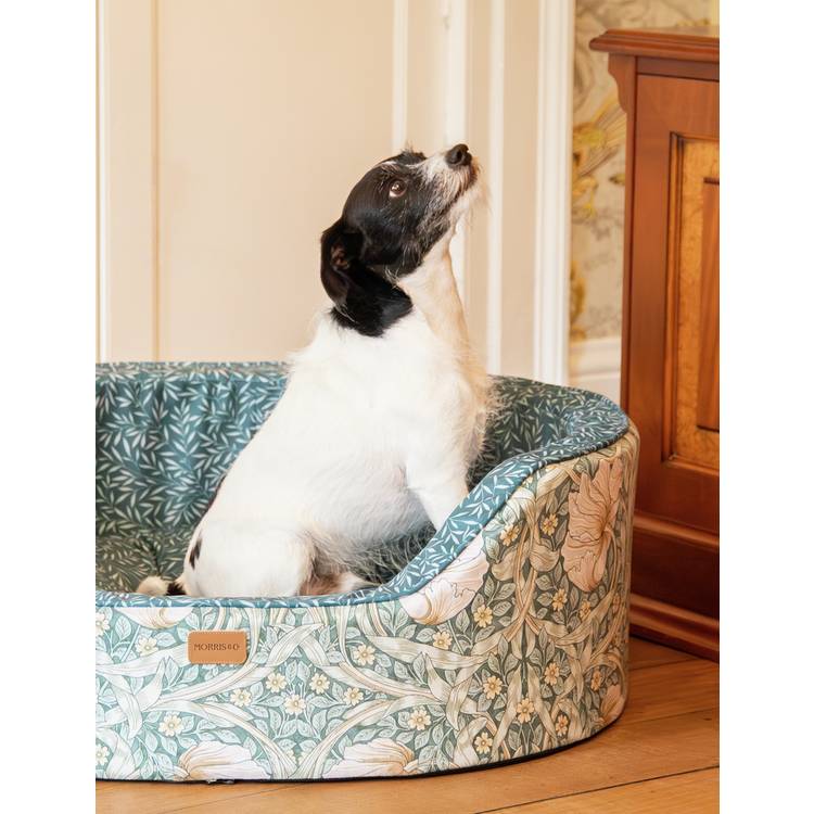 Morris & Co Pimpernel Lily oval dog bed medium - British product