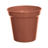 Whitefurze 12.7cm terracotta planter pot set of 5, imported from the UK