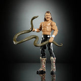Argos WWE Premium Live Event Jake 'The Snake' Roberts Action Figure 26.6cm- Buy online at McGrocer