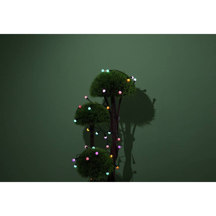 Argos Home 50 LED solar string lights, UK version