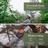 VonHaus 20V cordless pole chainsaw (British brand)