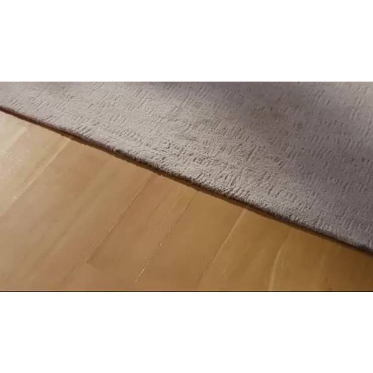 Shark portable 3-in-1 carpet cleaner - British product